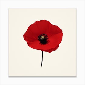 Red Poppy Canvas Print