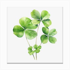 Four Leaf Clover 20 Canvas Print