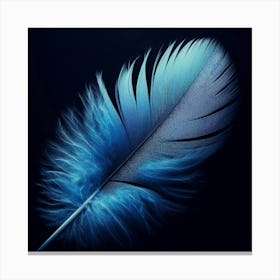 Blue Feather Canvas Print