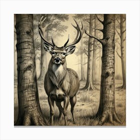 Deer In The Woods 12 Canvas Print