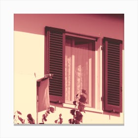 Open Window Canvas Print