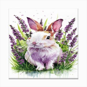 Rabbit In Lavender Canvas Print