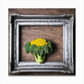 Cauliflower In A Frame 12 Canvas Print