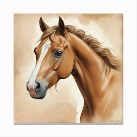 Illustration Of Light Brown Horse Art Print 0 Canvas Print