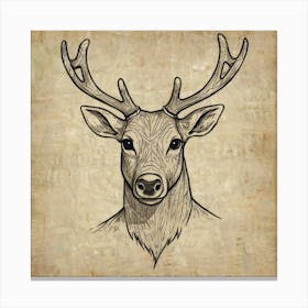 Deer Head 31 Canvas Print