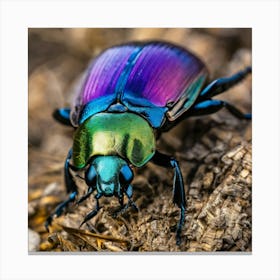 Beetle 16 Canvas Print