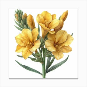 Yellow Carnations Canvas Print