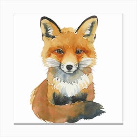Fox Watercolor Painting Canvas Print