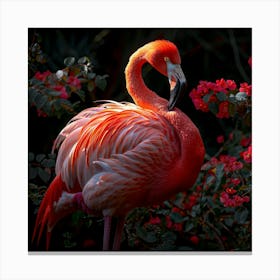 Flamingo 58 Canvas Print