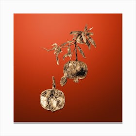 Gold Botanical Pomegranate on Tomato Red n.4446 Canvas Print