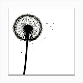 Dandelion 15 Canvas Print