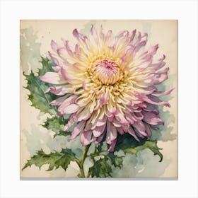 Chrysanthemum Canvas Print