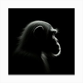 Chimpanzee Silhouette Canvas Print