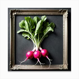 Radish 1 Canvas Print