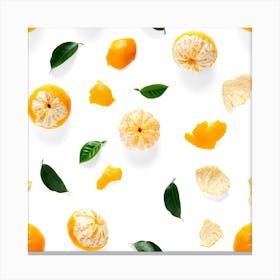 Top View Of Oranges On White Background Canvas Print
