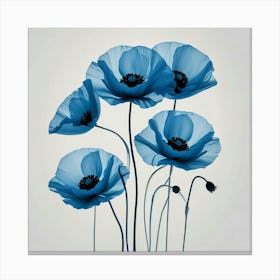 Blue Poppies Canvas Print