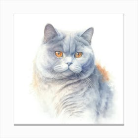 British Shorthair Cat Portrait Canvas Print