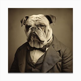 Portrait Of A Bulldog Canvas Print