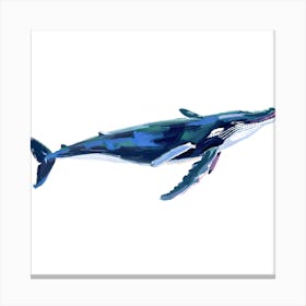 Humpback Whale 06 Canvas Print