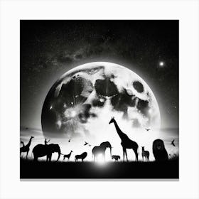 Zoo Animals At Night Canvas Print