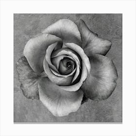 Black And White Rose 1 Canvas Print