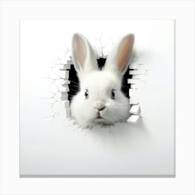 White Rabbit Peeking Through A Hole Canvas Print