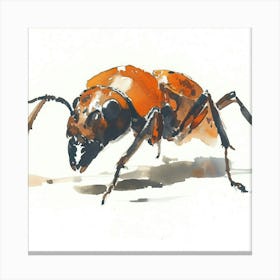 Ant Beetle Watercolor Illustration Canvas Print