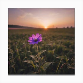 Single Purple Flower At Sunset Canvas Print