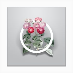 Vintage Seven Sister's Rose Minimalist Flower Geometric Circle on Soft Gray Canvas Print