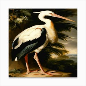 Stork Canvas Print