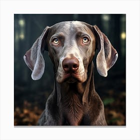 Weimaraner 1 Canvas Print