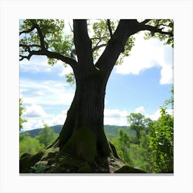 Tree Stock Videos & Royalty-Free Footage Canvas Print