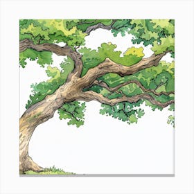 Oak Tree Canvas Print