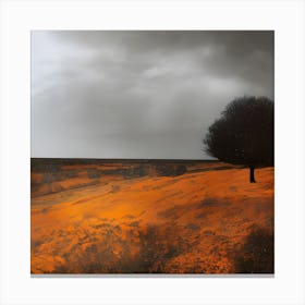 Lone Tree Canvas Print