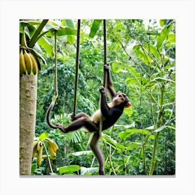 Monkey In The Jungle Canvas Print