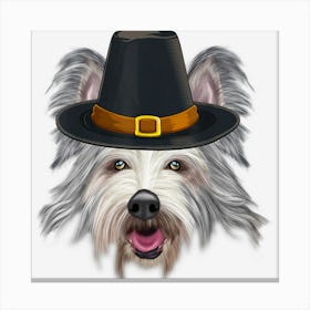 Berger Picard Wearing Pilgrim Hat Thanksgiving Canvas Print