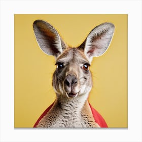 Kangaroo Canvas Print