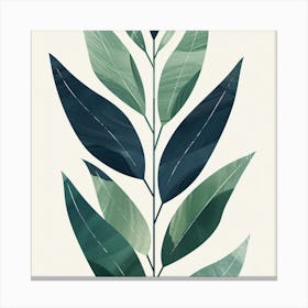 Eucalyptus Canvas Print