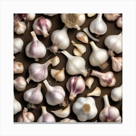 White Garlic On Black Background Canvas Print