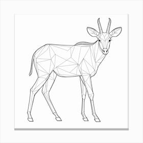 Antelope 1 Canvas Print
