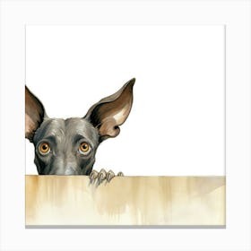 Xoloitzcuintli Dog 2 Canvas Print