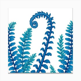 Blue Ferns Canvas Print