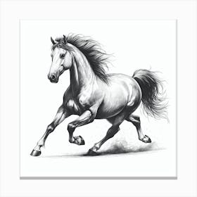 Horse Running 3 Canvas Print