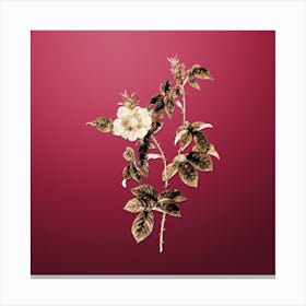 Gold Botanical Big Flowered Dog Rose on Viva Magenta n.0546 Canvas Print
