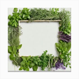 Frame Created From Herbs On Edges And Nothing In Middle (6) Canvas Print