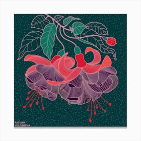 Fuchsia Flower Square Canvas Print