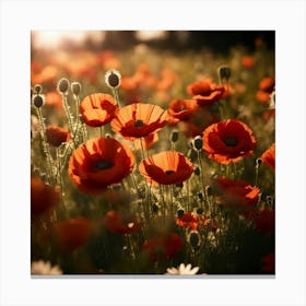 Poppy Field Canvas Print