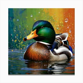 Mallard Duck Canvas Print