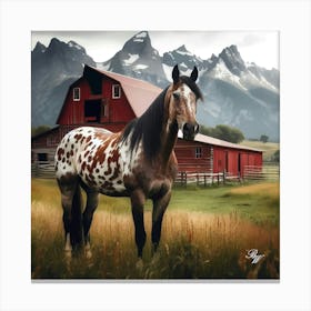 Appaloosa Standing In The Grass Copy Canvas Print