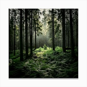 Firefly Dark And Moody Forest Deep Shadows And High Contrast For A Dramatic, Atmospheric Scene 2 Lienzo